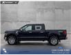 2026 Ford F-150 XLT (Stk: 26AT9242) in Airdrie - Image 3 of 25