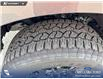 2026 Ford F-150 XLT (Stk: 26T1087) in Red Deer - Image 7 of 24