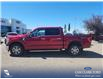 2021 Ford F-150 XLT (Stk: U38176) in Red Deer - Image 3 of 7