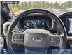 2023 Ford F-150 Lariat (Stk: P1657) in Canmore - Image 14 of 26