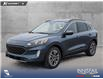 2020 Ford Escape SEL (Stk: P1199) in Innisfail - Image 1 of 19