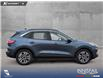 2020 Ford Escape SEL (Stk: P1199) in Innisfail - Image 6 of 19