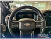 2022 Ford F-150 Platinum (Stk: P15132) in Airdrie - Image 14 of 25