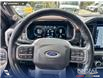 2022 Ford F-150 Lariat (Stk: P1653) in Canmore - Image 14 of 27