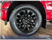 2024 Ford F-150 XLT (Stk: RC20212) in Airdrie - Image 6 of 25