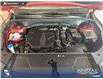 2024 Kia Sorento 2.5T EX (Stk: P1251) in Innisfail - Image 20 of 25