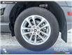 2024 Ford Bronco Sport Big Bend (Stk: P1249) in Innisfail - Image 10 of 25 2024 Ford Bronco Sport Big Bend (Stk: P1249) in Innisfail - Image 10 of 25