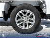 2025 Chevrolet Silverado 1500 LT (Stk: P1253) in Innisfail - Image 22 of 26