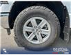 2023 Ford F-150 XLT (Stk: P1248) in Innisfail - Image 24 of 24 2023 Ford F-150 XLT (Stk: P1248) in Innisfail - Image 24 of 24