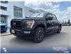 2022 Ford F-150 XLT (Stk: P7066) in Olds - Image 1 of 5