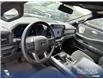 2024 Ford F-150 XLT (Stk: U38148) in Red Deer - Image 6 of 7