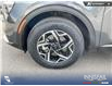 2023 Kia Sportage LX (Stk: P1254) in Innisfail - Image 21 of 23