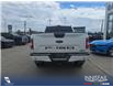 2019 Ford F-150 XLT (Stk: P7070) in Olds - Image 5 of 5