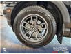 2024 Ford Bronco Sport Big Bend (Stk: P15145) in Airdrie - Image 6 of 25