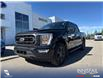 2023 Ford F-150 XLT (Stk: P7079) in Olds - Image 1 of 5