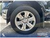 2018 Ford F-150  (Stk: P1659) in Canmore - Image 6 of 26