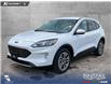 2022 Ford Escape SEL (Stk: P1260) in Innisfail - Image 1 of 24