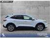 2022 Ford Escape SEL (Stk: P1260) in Innisfail - Image 6 of 24