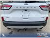 2022 Ford Escape SEL (Stk: P1260) in Innisfail - Image 23 of 24