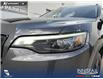 2023 Jeep Cherokee Altitude (Stk: U38152) in Red Deer - Image 8 of 25 2023 Jeep Cherokee Altitude (Stk: U38152) in Red Deer - Image 8 of 25