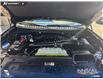 2025 Ford Expedition Platinum (Stk: P7095) in Olds - Image 9 of 24