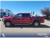 2021 Ford F-150 XLT (Stk: U38176) in Red Deer - Image 3 of 7