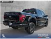 2024 Ford F-150 Tremor (Stk: U38217) in Red Deer - Image 4 of 25