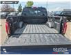 2024 Ford F-150 Tremor (Stk: U38217) in Red Deer - Image 12 of 25