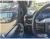 2024 Ford F-150 Tremor (Stk: U38217) in Red Deer - Image 17 of 25