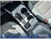 2023 Ford Bronco Sport Big Bend (Stk: P1688) in Canmore - Image 17 of 26