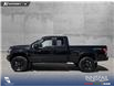 2019 Ford F-150 XLT (Stk: P1273) in Innisfail - Image 3 of 19