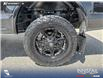 2019 Ford F-150 XLT (Stk: P1273) in Innisfail - Image 19 of 19