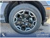 2025 Ford Bronco Sport Outer Banks (Stk: 25AS9167) in Airdrie - Image 6 of 24 2025 Ford Bronco Sport Outer Banks (Stk: 25AS9167) in Airdrie - Image 6 of 24