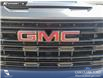 2024 GMC Sierra 1500 Pro (Stk: U38095) in Red Deer - Image 9 of 25