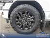 2024 Ford F-150 XLT (Stk: U38140) in Red Deer - Image 6 of 25