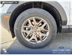 2026 Ford Bronco Sport Big Bend (Stk: 26AS6148) in Airdrie - Image 6 of 25 2026 Ford Bronco Sport Big Bend (Stk: 26AS6148) in Airdrie - Image 6 of 25