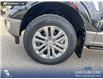 2026 Ford F-150 King Ranch (Stk: 26T2485) in Red Deer - Image 6 of 24
