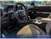2026 Ford Ranger XLT (Stk: 26AT6868) in Airdrie - Image 13 of 25