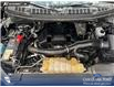 2018 Ford F-150  (Stk: P1659) in Canmore - Image 10 of 26