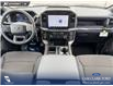 2026 Ford F-150 STX (Stk: 26AT9999) in Airdrie - Image 24 of 25 2026 Ford F-150 STX (Stk: 26AT9999) in Airdrie - Image 24 of 25