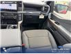 2026 Ford F-150 STX (Stk: 26AT9999) in Airdrie - Image 25 of 25 2026 Ford F-150 STX (Stk: 26AT9999) in Airdrie - Image 25 of 25