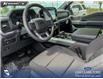 2026 Ford F-150 XLT (Stk: 26AT8719) in Airdrie - Image 13 of 25