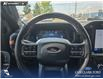 2024 Ford F-150 Tremor (Stk: U38217) in Red Deer - Image 14 of 25