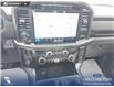 2024 Ford F-150 Tremor (Stk: U38217) in Red Deer - Image 19 of 25