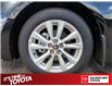 2026 Toyota Corolla LE (Stk: SCO46511) in Salmon Arm - Image 6 of 25