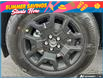 2026 Ford Bronco Sport Big Bend (Stk: ELF26BS257) in St. Catharines - Image 6 of 20