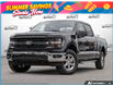 2026 Ford F-150 XLT (Stk: ELF26F1370) in St. Catharines - Image 1 of 26