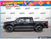 2026 Ford F-150 XLT (Stk: ELF26F1208) in St. Catharines - Image 3 of 27