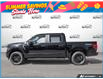 2026 Ford F-150 STX (Stk: ELF26F1613) in St. Catharines - Image 3 of 26