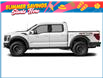 2026 Ford F-150 Raptor (Stk: W1RM620T1) in Sault Ste. Marie - Image 2 of 3